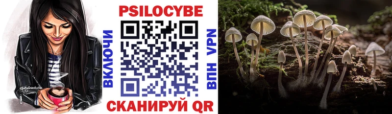 shop Telegram  Дзержинский  Галлюциногенные грибы Psilocybine cubensis  наркотики 